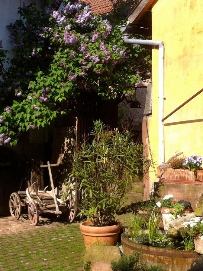 La Maison De Caroline Westhoffen エクステリア 写真