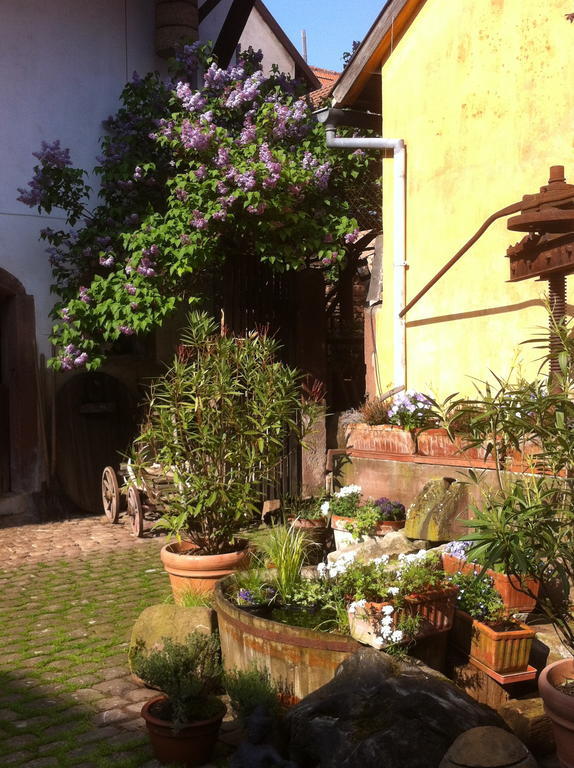 La Maison De Caroline Westhoffen エクステリア 写真